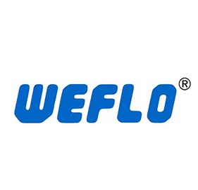 莱州伟隆阀门有限公司 Logo