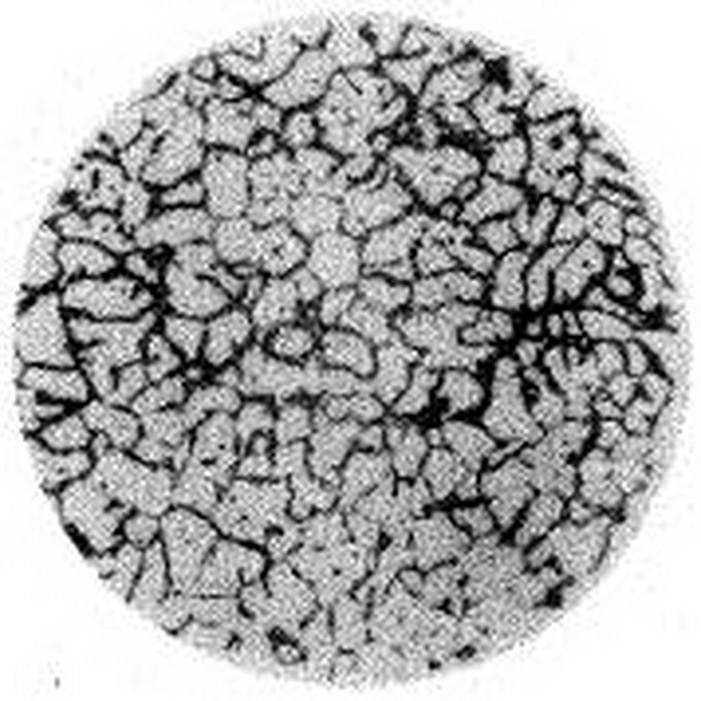 JB\/T 7946.4-2017《铸造铝合金金相 第4部分:铸