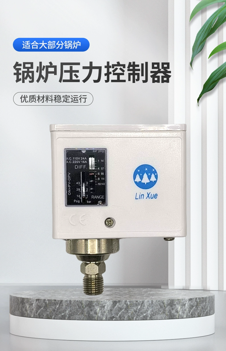 发生器蒸汽锅炉压力控制器 江心 盛田 佳先 诺贝思.webp