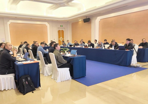 《铸钢件相控阵超声检测方法》国家标准审查会在杭州召开