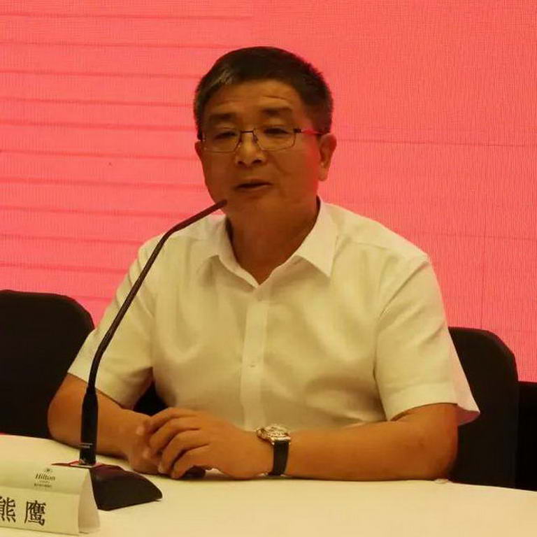 重庆长江造型材料(集团)股份有限公司董事长熊鹰代表重庆长江造型材料