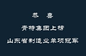 青特集团上榜山东省制造业单项冠军 
